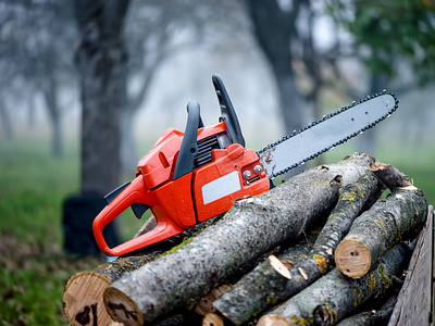 Tree Surgery