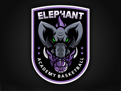 ELEPHANT ACADEMY BASKETBALL