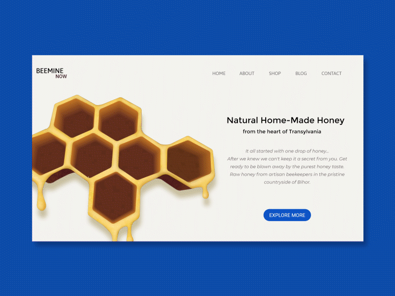 Beemine website concept