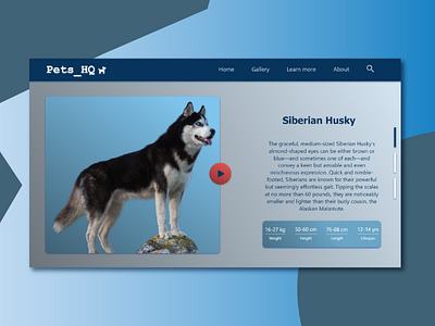 Pets_HQ - Landing Page adobe app design dogs figma graphic design husky illustration pets ui ux web