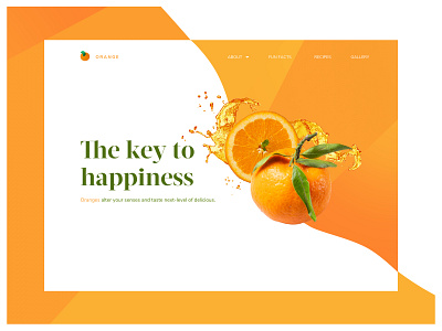 Landing Page Design: Orange landing page design web design website website design