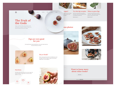 Landing Page Design: Figs fruits illustration landing page ui ux design website design