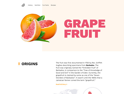 Landing Page Design: GrapeFruit design illustration landing page design ui ux