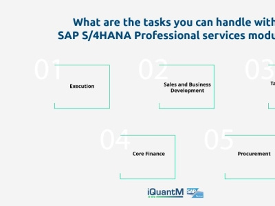 SAP S4HANA Professional service professional services s4hana sap