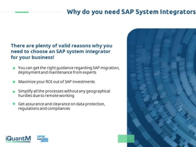 SAP System integrator
