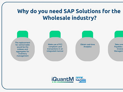 SAP Wholesale industry challenges