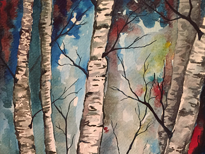 Birch Trees