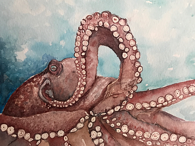Giant Pacific Octopus acuarela illustration marine life ocean octopus sea life watercolor