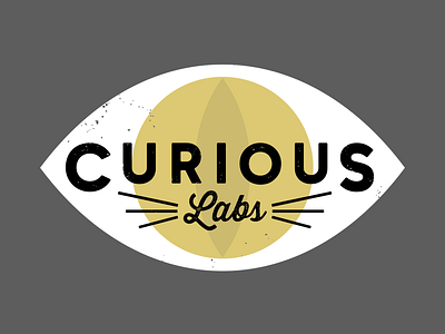 Curious labs concept cat eye logo wiskers