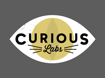 Curious labs concept