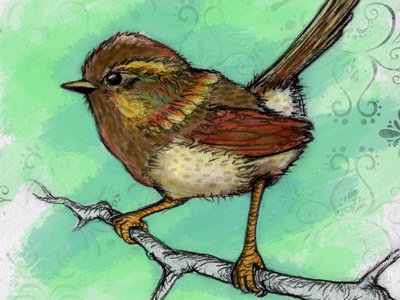 Wren Painted bird painting illustration sketch wren