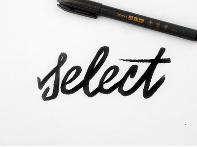 Select Hand Lettering brush hand handwriting lettered pen script select