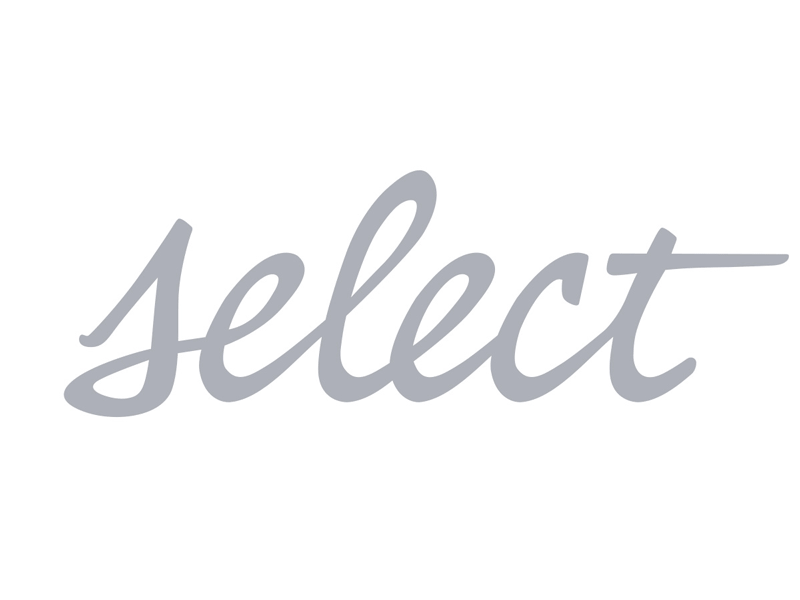 Select Final Vector brush hand lettered logo select