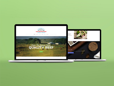 Ruby Mountain Beef Website branding design typography ui ux web web design website