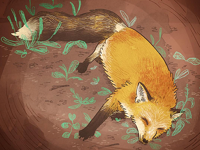 a good boy fox illustration