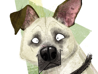 #adoptadoodle project- Regina adoptadoodle chararacter design cintiq dog dogs illustration photoshop textures wacom