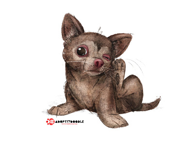 #adoptadoodleproject - Fiona the ‎Chihuahua‬ character design adopt childrens book creative cloud dogs illustration nyc photoshop rescue dog textures