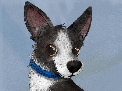 #adoptadoodleproject-Charles the Invincible character design adopt childrens book creative cloud dogs illustration nyc photoshop rescue dog textures