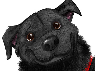 #adoptadoodle Project-Bear-Brooklyn, New York-Foster Dogs NYC character design adopt childrens book creative cloud dogs illustration nyc photoshop rescue dog textures