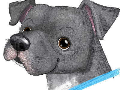 #Adoptadoodle Project- RIKKI-NEW YORK-Foster Dogs NYC character design adopt childrens book creative cloud dogs illustration nyc photoshop rescue dog textures