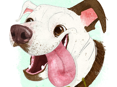 #adoptadoodle Project- Ziggy-Los Angeles, CA adoptadoodle chararacter design childrens book art cintiq dog dogs illustration kid lit art photoshop textures wacom