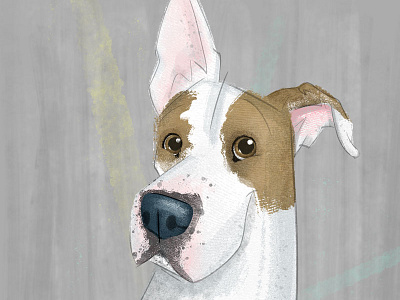 #adoptadoodle Project- Luke-Queens, NY adoptadoodle chararacter design childrens book art cintiq dog dogs illustration kid lit art photoshop textures wacom