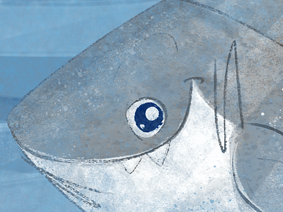 Shark Week Doodling childrens book cute kidlitart photoshop shark shark week