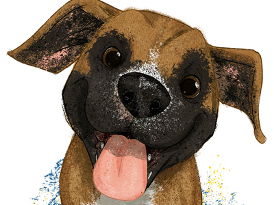 Susie - #adoptadoodleProject is Back adopt childrens book childrens illustration dogs kidlitart puppy