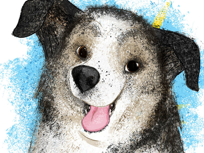 #adoptadoodle project- Andy - NYC adopt adoptadoodle project childrens book childrens illustration dogs kidlitart puppy