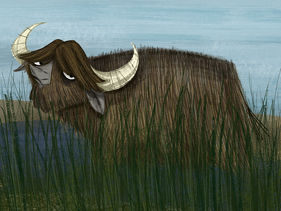 Water Buffalo animal childrens book illustration kidlitart procreate