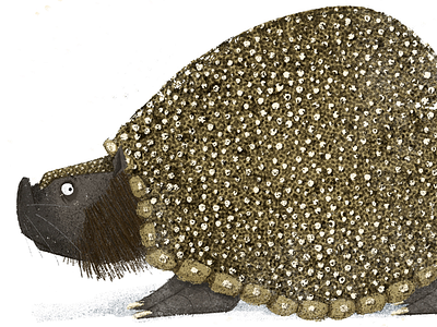 G is for Glyptodon