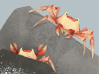 🦀🦀🦀 animals book illustration character design childrens book crab illustration illustrator ocean life picture book story