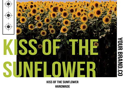 Kiss Of The Sun Flower