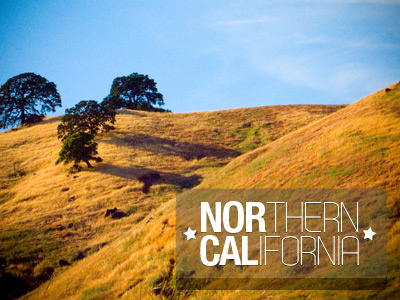 Norcal cal hills nor oak trees