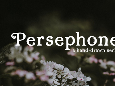 persephone hand drawn serif font by megs lang prvw 001