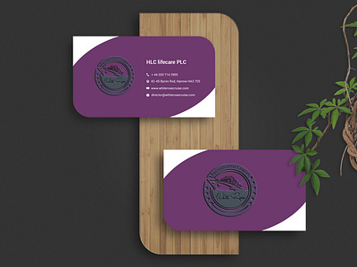 Ship company business card