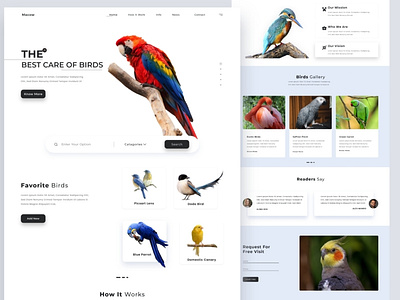 birds care landing page