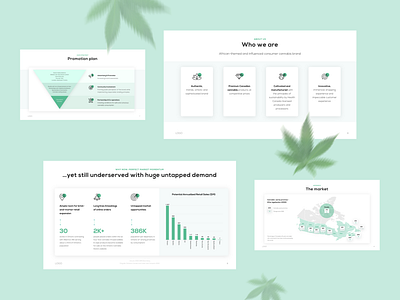 Pitch Deck for cannabis company business cannabis cannabis design company profile investor deck investor pitch pitch deck pitch deck design presentation design retailer start up startup