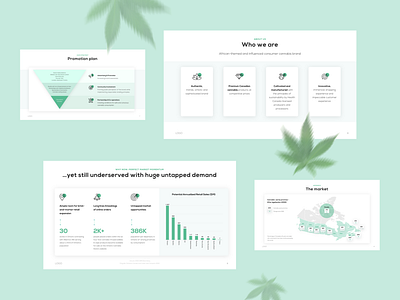 Pitch Deck for cannabis company