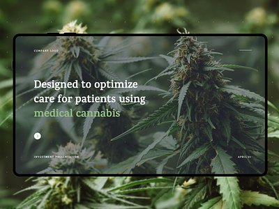 Example Pitch Deck / Cannabis