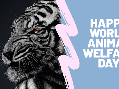 Happy world animal welfare day ❤️