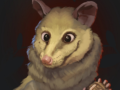 Opossum illustration animal illustration opossum painting portrait