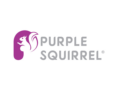 Squirrel Logo Designs businesslogo creativelogo design designing fiverr freelance logo logodesign logodesing logos purple squirrel squirrellogo upwork vector