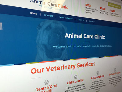 Animal Care Clinic Launch Dribbble animal blue dog gray green montserrat red vet veterinarian veterinary