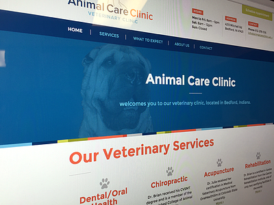 Animal Care Clinic Launch Dribbble