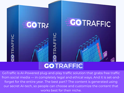 An Honest Review Of Go Traffic | 100% Unbiased