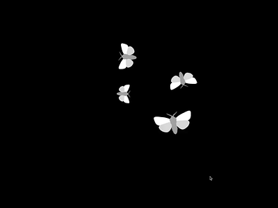 Fluttering Moths SVG Animation after effects animation bodymovin illustration interactive animation interactive illustration lottie