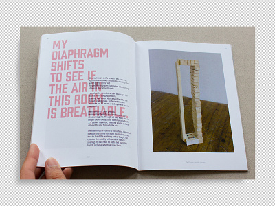 XVII: BFA Thesis Book book design layout print typography