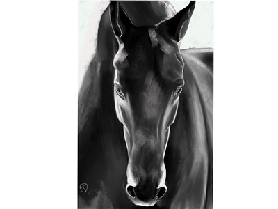 Horse art horse illustration procreate