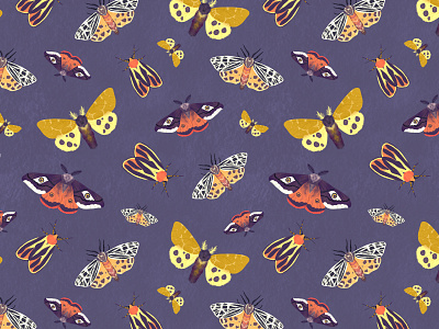 Moths pattern butterfly digital art digital illustration illustration ipad drawing ipad pro moth pattern pattern design pattern designer procreate procreate art surface pattern